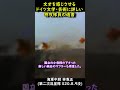 神風特攻隊員「アンデルセンのおとぎの国へ行って王子様になります。」 #Shorts #歴史 #戦史