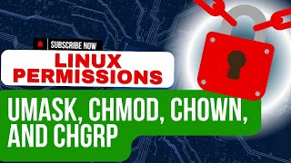 Famous How to Use umask, chmod, chown & chgrp in Linux | Mastering Linux File Permissions Profile