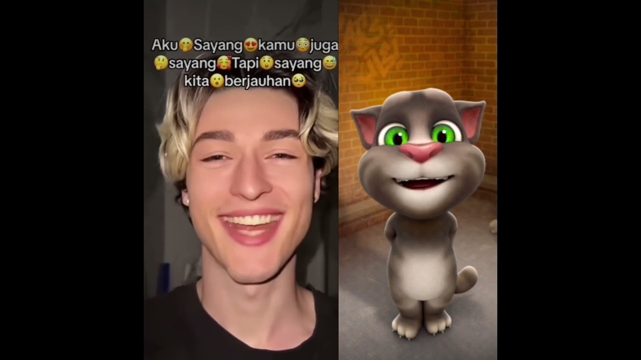 Talking tom singing "Aku Sayang". Tom the singer. 