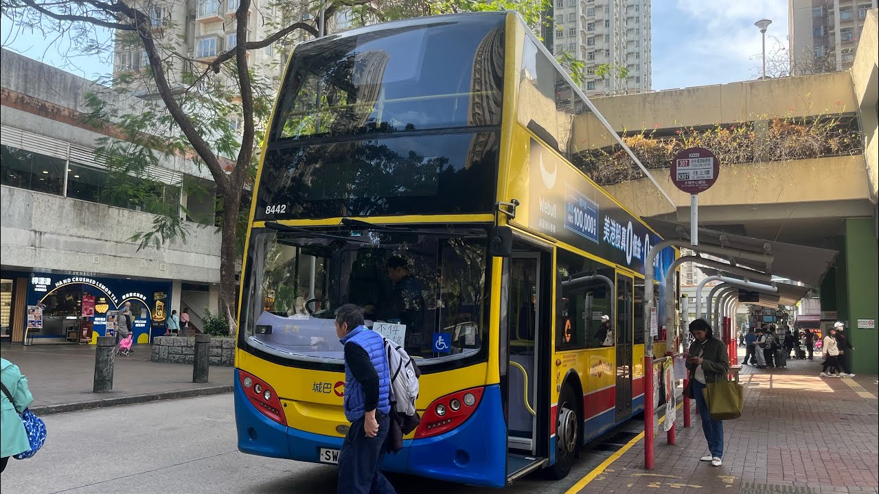 Bus driving documents 31 KMB/CTB Route 307 Central Ferry-Bus Terminus➡️Tai Po Central #bus 