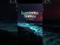 Luminous Shore -DJ Broid
