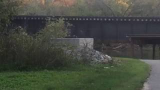 Roanoke City Raw Sewage Dump