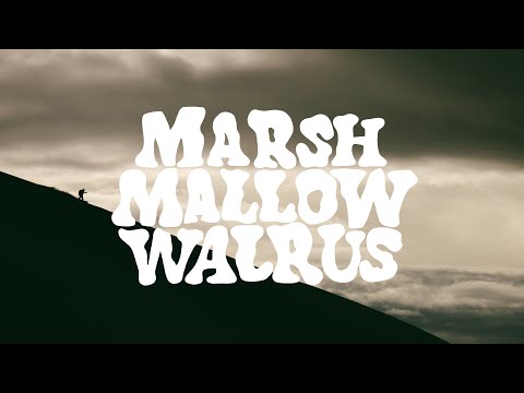Marshmallow Walrus | The Trailer