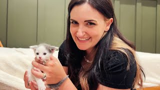 This YouTuber Wants One of My Rescue Kittens!