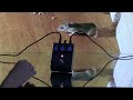 Musikdingde the rat   distortion kit