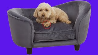 Before You Buy Quicksilver Pet Sofa