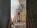 bayramınız mübarek olsun