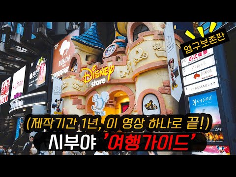 일본여행✈️1년동안 준비한 시부야 핫플레이스 정복하기 (영구보존판)