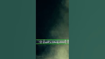 حالات واتساب دينية            ( آيات من الذكر الحكيم)                 سبحانك أني كنت من الظالمين