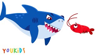 Baby Shark Family & Pop-It Colors Fun | YouKids Songs for Kids