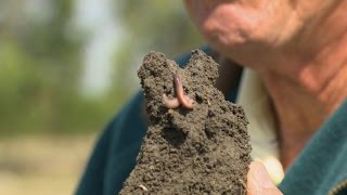 Healthy Soil Vs. Drought