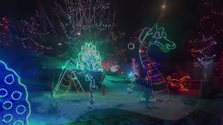 Calgary Zoolight 2023