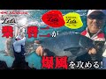 【キザクラ】【ZENSOH 22 Let’s】柴原啓二が爆風を攻める!良型グレ連発!!