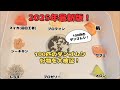 【検証動画】100匹のダンゴムシで大検証！８つの食材の中からダンゴムシが選ぶのはどれかな？