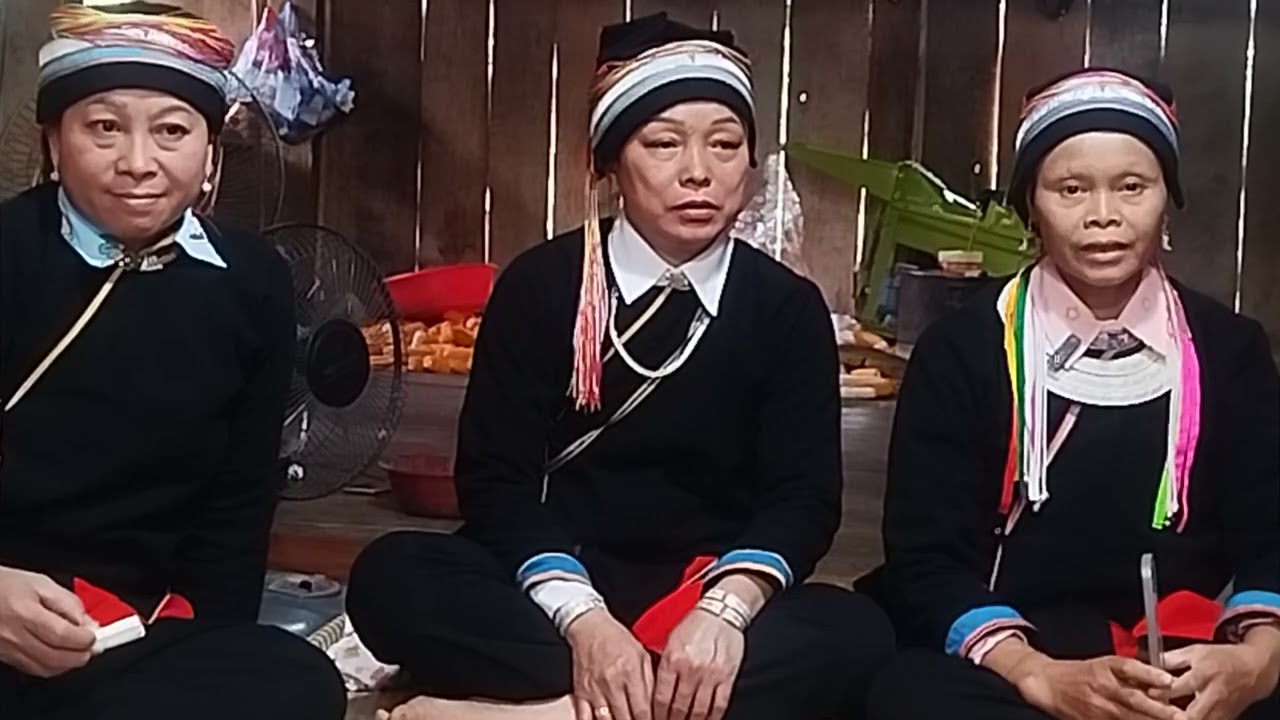 Tap 2 mung 6 tet di xa bac me dao luui chui em hat vui tai nha ong ba nguyẹt vui lam #hoply@