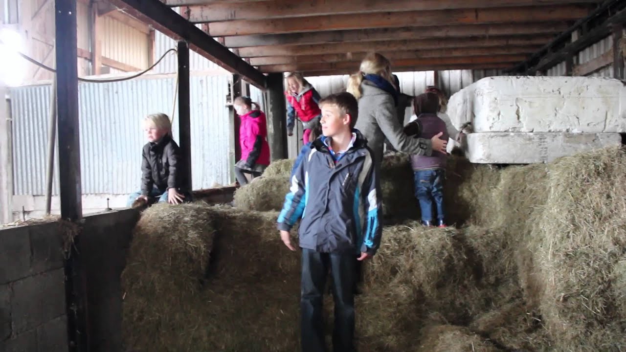 Opendag Campina Boerderij Boskoop Familie Droogh YouTube