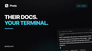 Pluely on the Terminal: Attach the API Docs, Answer Rate Limits, Idempotency and Webhooks