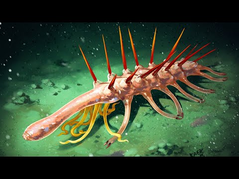 What on Earth Was Hallucigenia?