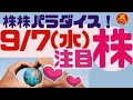 株株パラダイス！2022/9/7(水) の注目株を分析！以前、世界的 外資系 金融機関４社に勤務し、統括部長を経験した 株パラ がお送りします！個人投資家の個人投資家による個人投資家のための番組！