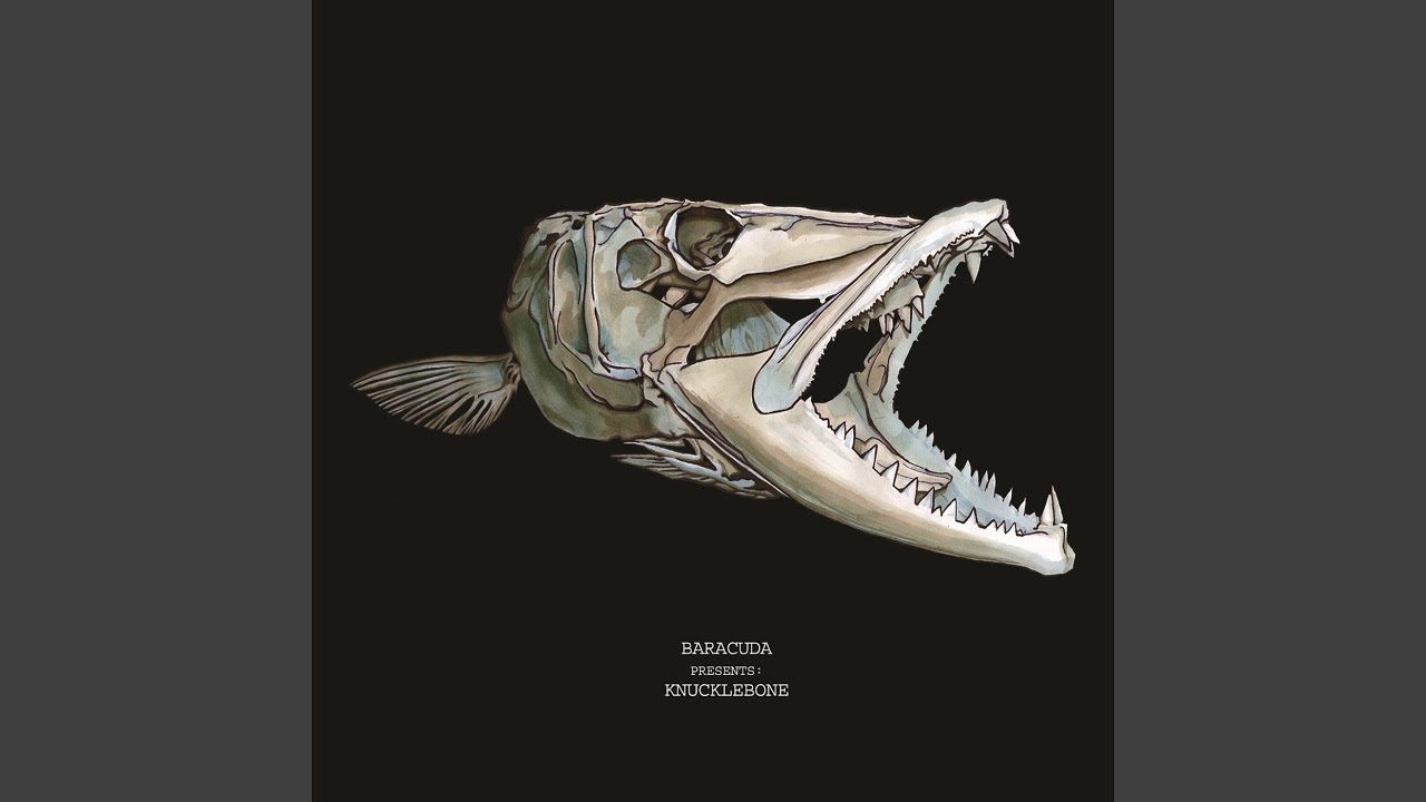 Guarda Splash su YouTube Guarda Splash su YouTube