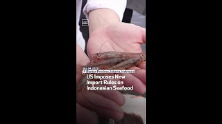US Imposes New Import Rules On Indonesian Seafood