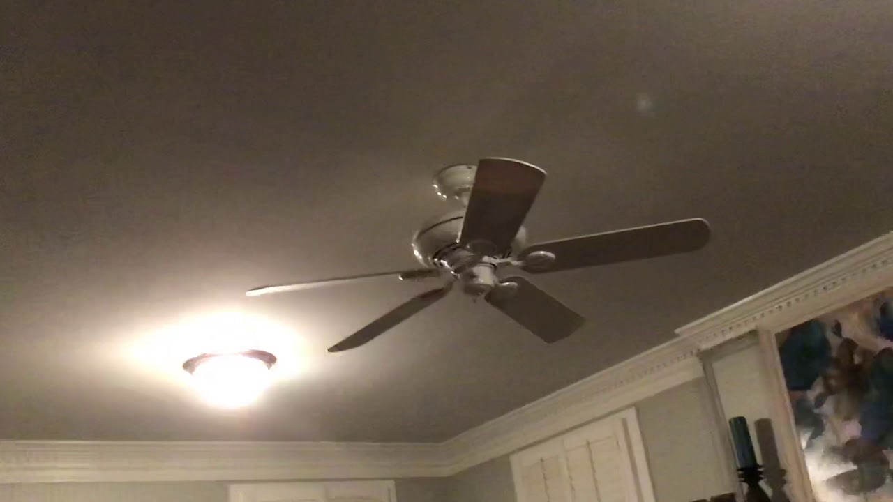 Ceiling Fans in my House 3 - YouTube