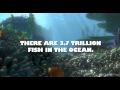 Finding nemo  trailer 3