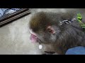 しずくちゃんとハイテンションおじさん