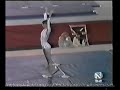 1977 world cup gymnastics