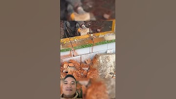 Máy Cưa Xích Cắt Tường #construction