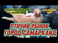 Птичий рынок,(базар) города Самарканда. Самый дешёвый, голубиный рынок Узбекистана!!!