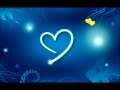 موسيقى دموع الورد من الروائع التركية