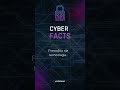 Cyber Facts w 10 sekund