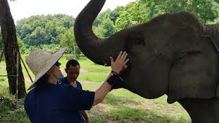 Belén alimenta a una elefanta