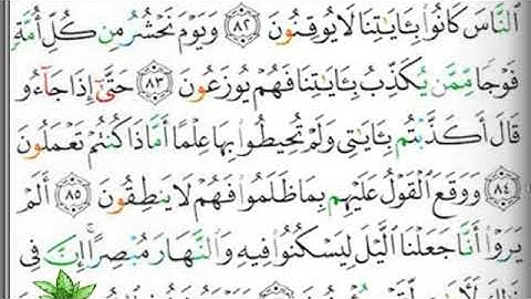 مصحف التجويد صفحة 384 ابراهيم الأخضر