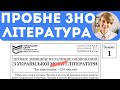 Розбір пробного ЗНО-2021 з української 💫 Частина друга: література 📚