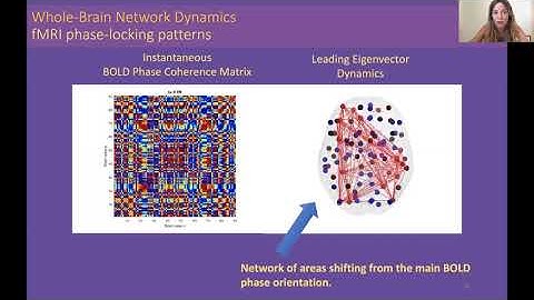MS05A - Joana Cabral: Ghost attractors in whole-brain network dynamics
