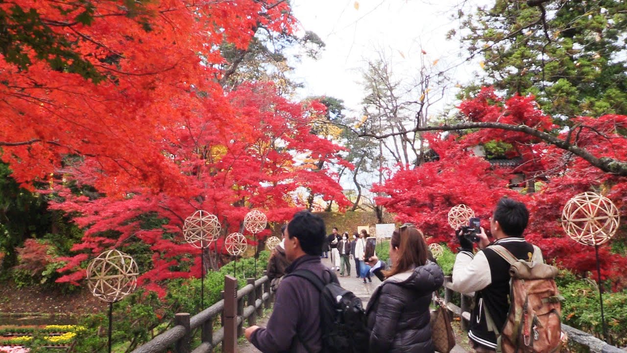 まつり終盤の弘前公園 紅葉鮮やかに - YouTube