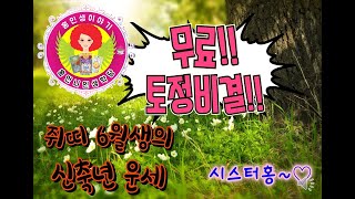 [토정비결]신축년 쥐띠(무자생)  6월생 운세