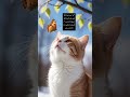 #cute cat#poetry#trending#viral video# fyp