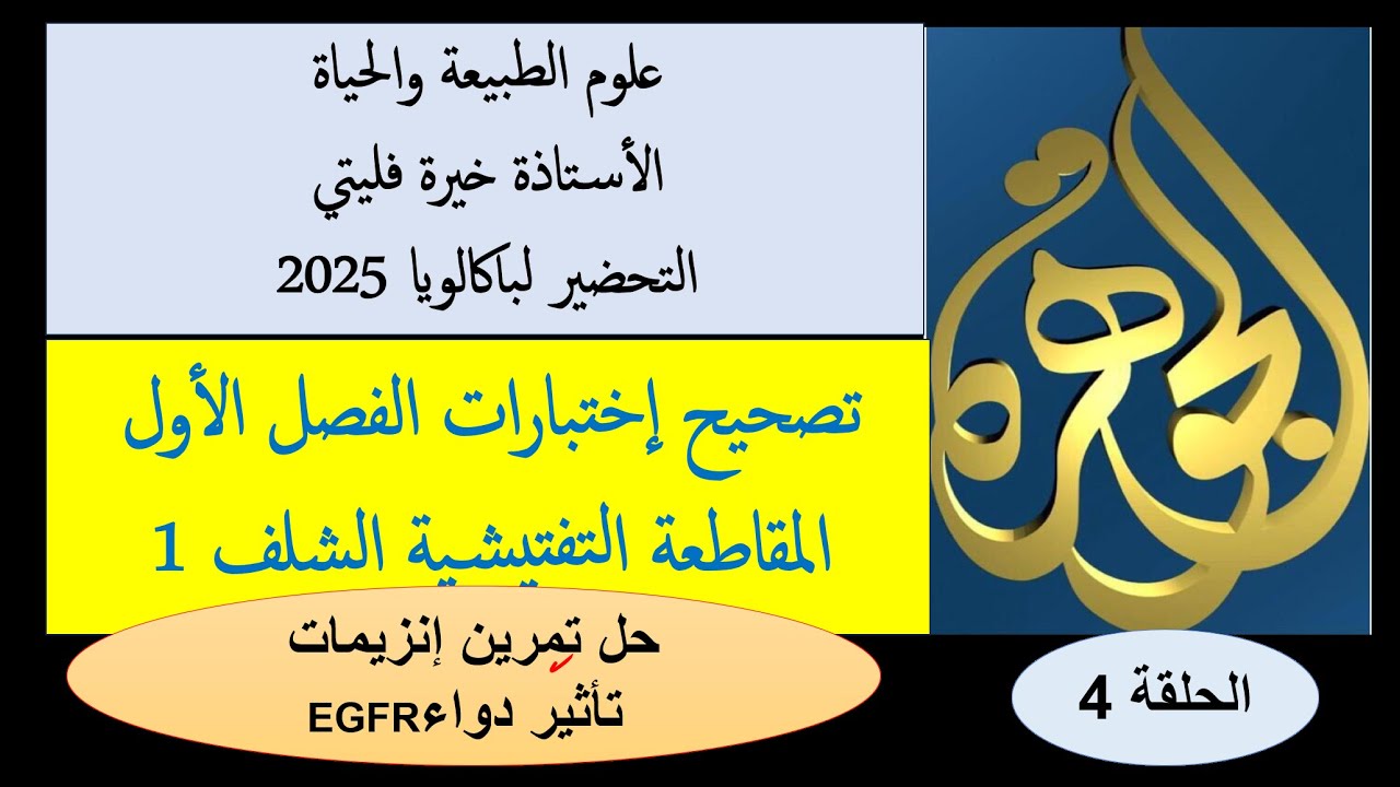 الحلقة 4 حل تمرين تأثير دواء EGFR  كاملا