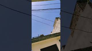 Hero Tu Mera Hero hai #short #ware #video🐎🐎🐎🐎🐎🍓🍓🍓