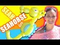 SEAHORSE Balloon Animal Tutorial - Learn Balloon Animals with Holly on the beach!