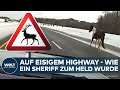 USA: Heldentat auf eisiger Straße! Mutiger Sheriff bewahrt Pferd vor großem Unglück