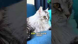 Download Lagu Brons wordt afgepakt door een stommen fout !! MP3