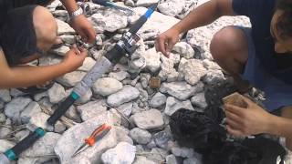 Mısır Küspesi İle Sazan Avı