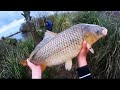 GRAN PESCA variada en RIO LUJAN |  DORADO, CARPA ,TARUCHA