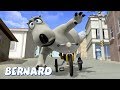 Bernard Bear | The Unicycle AND MORE | 30 min Compilation | Cartoons for Children