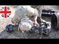 Anti-Tank Weapons NLAW or Next Generation Anti-Tank Weapon#britisharmy#usarmy#military