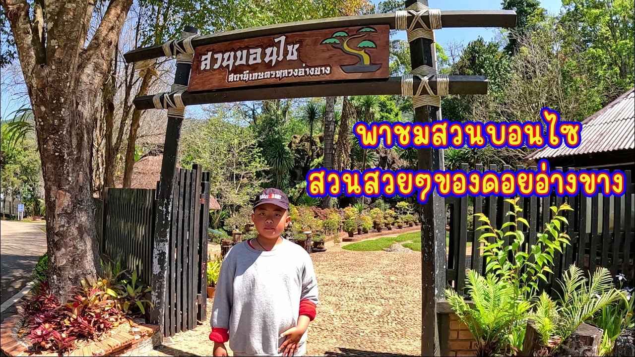 พาชมสวนบอนไซ สวนสวยๆของดอยอ่างขาง